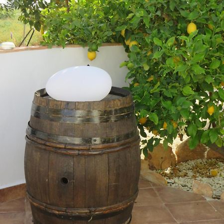 B&B Finca La Manchica Картахена Экстерьер фото
